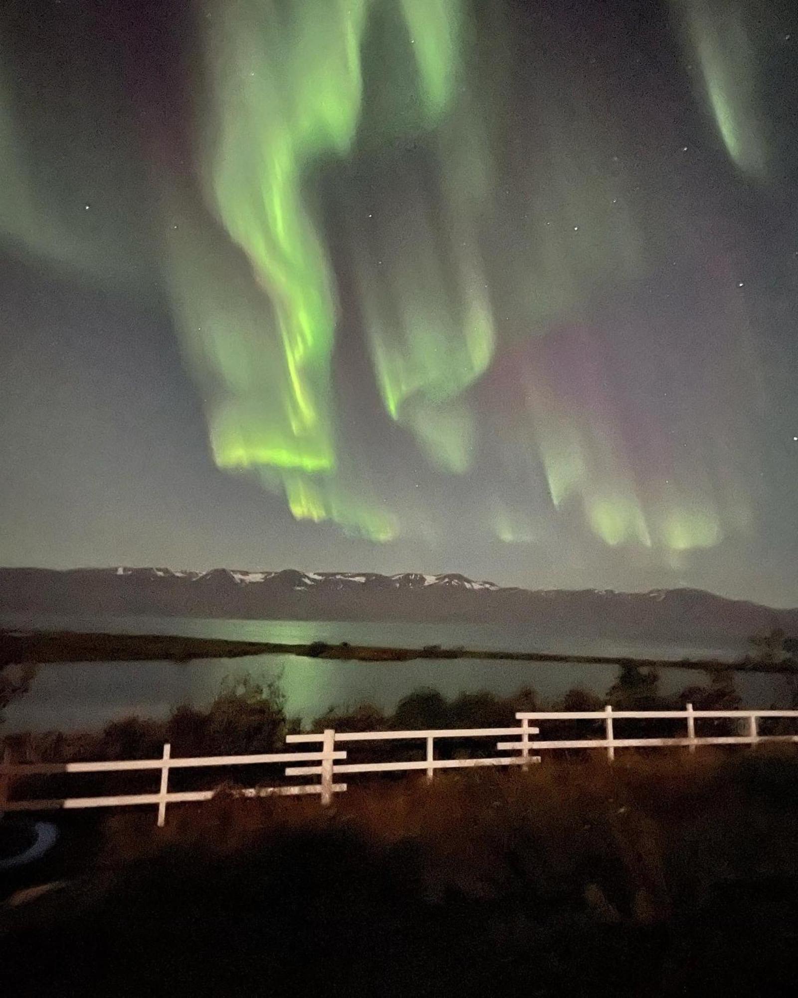 Kaldbaks-Kot Cottages フーサヴィーク エクステリア 写真