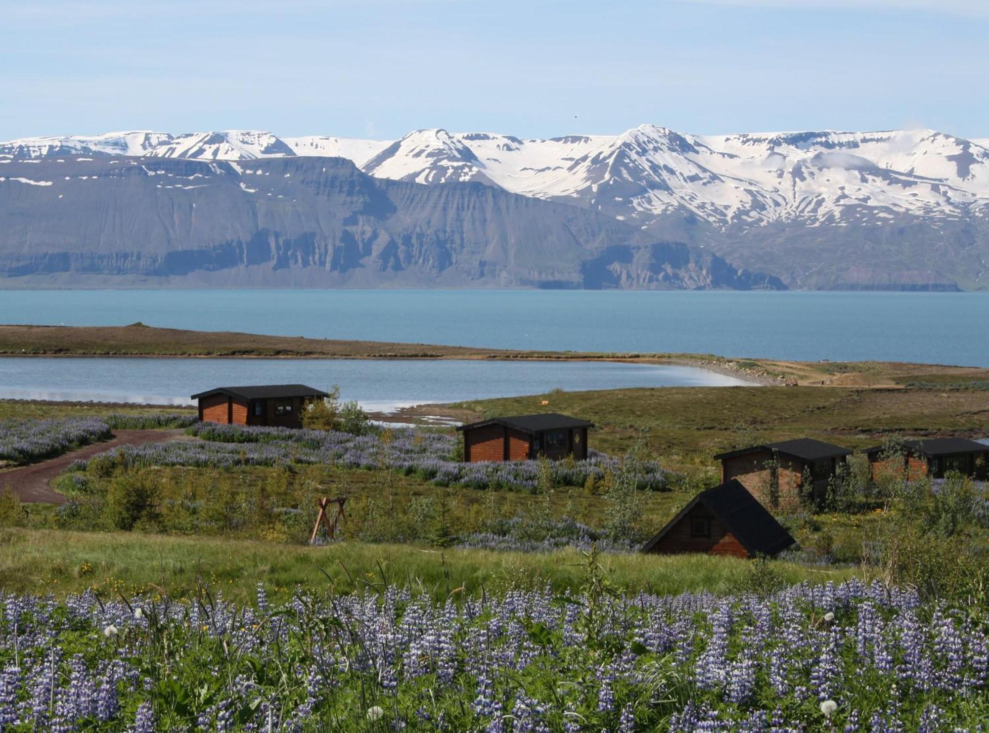 Kaldbaks-Kot Cottages フーサヴィーク エクステリア 写真
